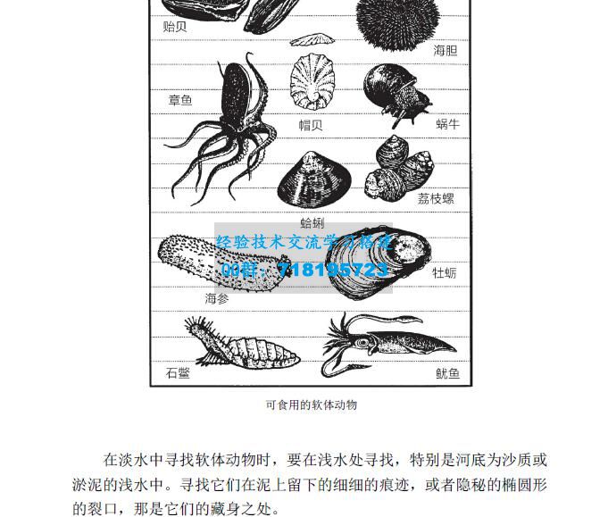 《户外生存系列》丛书为全面实用的户外生存指南