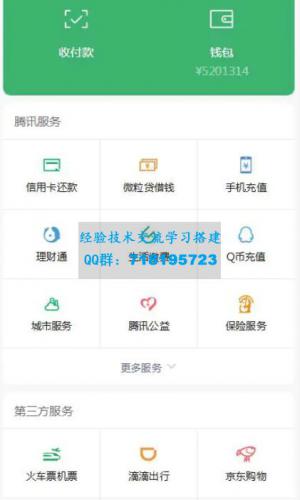 高仿wx钱包页H5网站源码