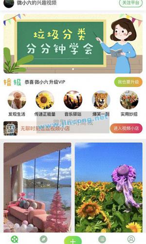 朋友圈看视频 V1.0.0 原版 weiqing功能模块