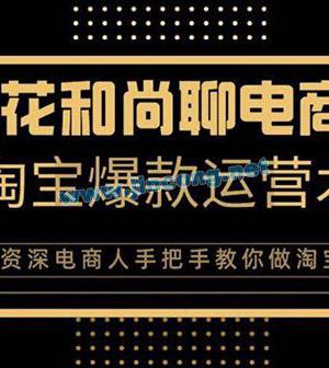 天猫淘宝爆款运营实操技术系列课：资深电商人手把手教你做淘宝（无水印）