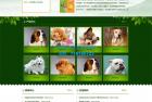     宠物店宠物培训机构网站源码 宠物饲养育种机构类pbootcms网站模板
