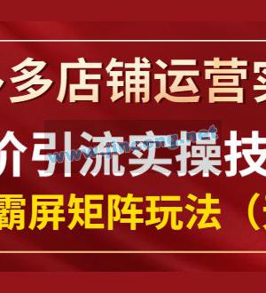 拼多多店铺运营实操，低价引流实操技巧，拼多多霸屏矩阵玩法（无水印）