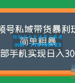 视频号私域带货暴利玩法，简单粗暴，一部手机实现日入300+