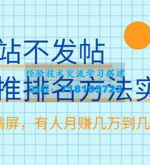 不建站不发帖做外推排名方法实操，持久seo霸屏，有人月赚几万到几十万