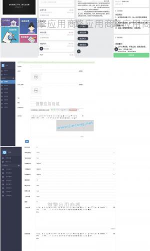 Q诺拉微招聘 V1.0.0 诺拉微招聘人事招聘系统 weiqing功能模块