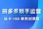     拼多多新手运营从 0-100 单策划课程，从零起步到爆单详细教程
