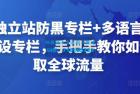     外贸独立站防黑专栏+多语言独立站建设专栏，手把手教你如何赚取全球流量
