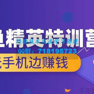 翼牛学堂《闲鱼精英特训营进阶班》边玩手机边赚钱