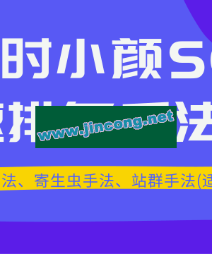 最新顺时小颜SEO教程_ 快速排名、寄生虫手法、站群手法(适合所有关键词)