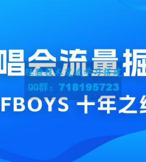 八月必做的项目：靠最近非常火的 TFBOYS 十年之约演唱会流量掘金