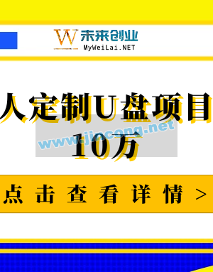 淘宝私人定制U盘项目，月赚10万