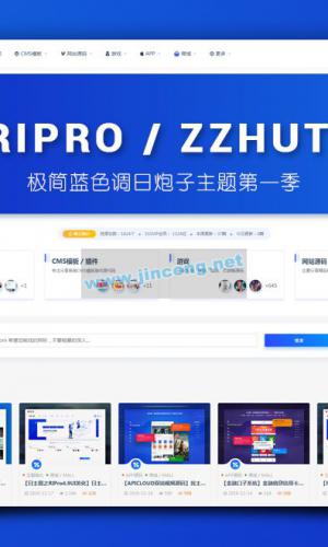 【RIPro6.4子主题UI美化】日主题专业版RIPRO细节美化增加在线自助友链申请与引导会员模块