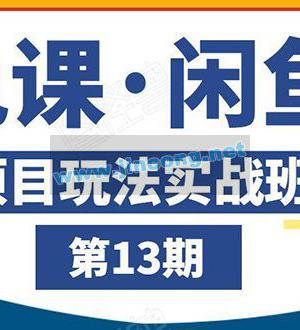 闲鱼项目玩法实战班第13期：从0到N+方法，全程直播 现场演练（全套无水印）