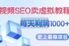     视频 SEO 出售虚拟产品：史上最稳定私域变现项目
