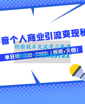 月入3W+扶你上墙，抖音个人商业引流变现秘籍，单日赚1000-2000（视频+文档)