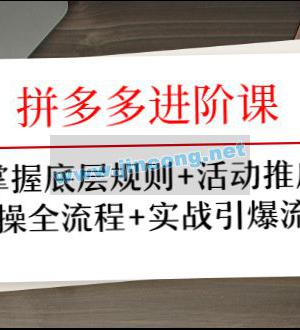 拼多多进阶课 掌握底层规则+活动推广+实操全流程+实战引爆流量