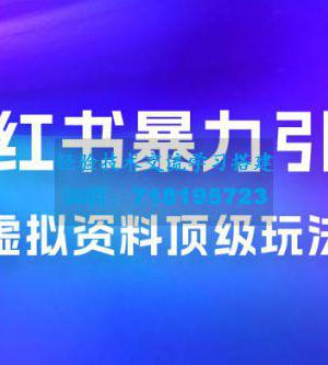 虚拟资料顶级玩法，小红书暴力引流，喂饭级教程零成本，利润任你定