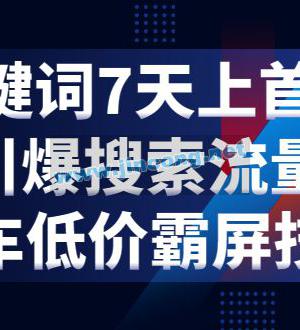 电商关键词七天上首页，引爆搜索流量，快车低价霸屏技术（5节视频课）