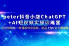     抖音小店 ChatGPT + AI 短视频实训 10 分钟做一条爆款带货视频 7 天引爆销量（更新）
