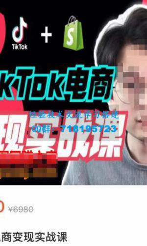 TikTok电商学长Ethan・TikTok电商变现实战课，TikTok运营+Shopify独立站运营+TikTok广告投放