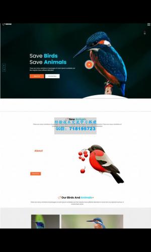 拯救鸟类拯救动物HTML5网站模板