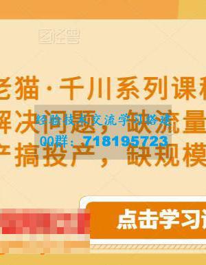 老猫・千川系列课程，千川投放解决问题，缺流量搞流量，缺投产搞投产，缺规模扩规模