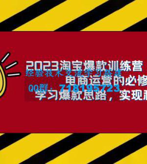 淘系电商视频课，淘宝运营电商合集视频（共 33 节）