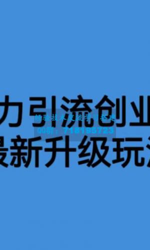 价值1980一千个野路子暴力引流最新升级玩法