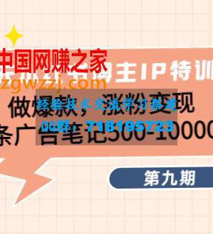 28天小红书博主IP特训营《第9期》做爆款，涨粉变现 单条广告笔记500-10000