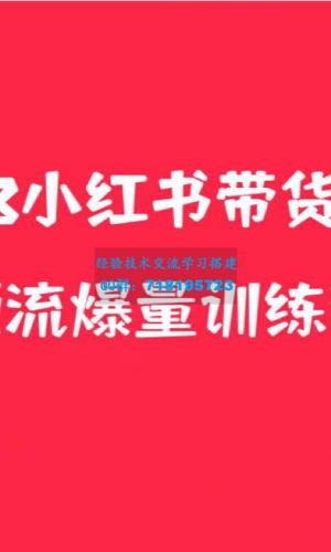 小红书电商爆量训练营，月入3W+！可复制的独家养生花茶系列玩法