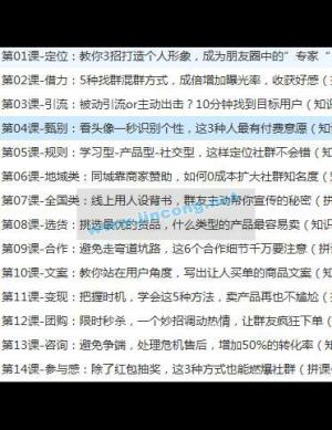 手把手教你成为吸金群主 人人必学的微信群赚钱法