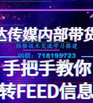 抖音带货密训营：手把手教你玩转FEED信息流，让你销量暴增