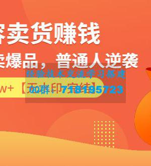 内容卖货赚钱：0基础打造卖爆品，普通人逆袭，每月躺赚10w+【完结-附素材】