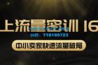     2022秋秋线上流量密训16.0：包含暴力引流10W+中小卖家流量破局技巧等等
