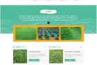     苗木草坪种植类网站pbootcms模板 绿色农业类网站源码
