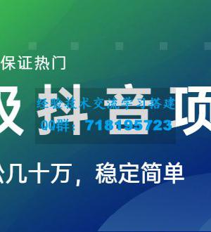 高级抖音项目：视频轻松几十万，稳定简单，快速上手，保证热门【薯小条日记】