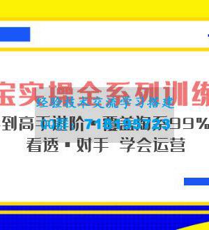 淘宝实战宝典+淘系全系列进阶，初级到进阶，覆盖淘系99%的知识，看透对手自然会运营