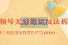     无脑搬运视频号分成玩法 单号日收益1000+
