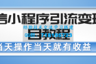     微信小程序引流变现项目教程 当天操作当天就有收益，变现不再是难事
