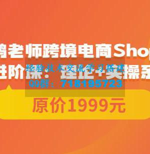 鸿老师跨境电商Shopee入门课+进阶课：理论+实操系统化教学