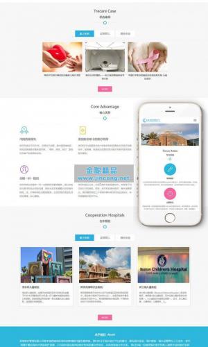 响应式试管婴儿医疗机构网站源码 织梦模板 (自适应手机移动端)