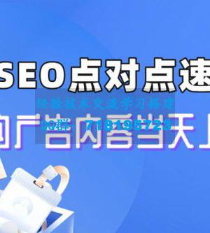 新版 SEO 点对点引流速成课：让你的广告内容当天上首页