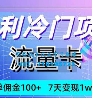 独特高利润项目，流量卡玩法，每单可获得100+佣金，7天内实现1w+收益