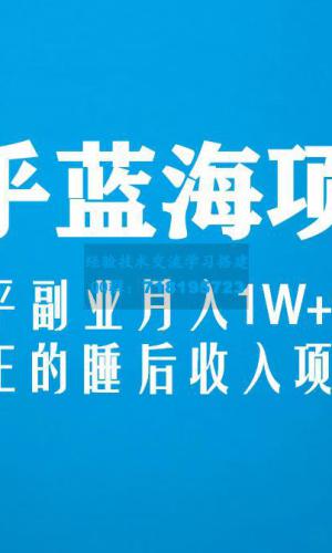 知乎蓝海玩法，躺平副业月入1W+，真正的睡后收入项目