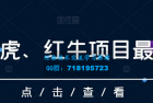     解密乐虎、红牛项目最新玩法：零投入，高回报，每日收入超过500元
