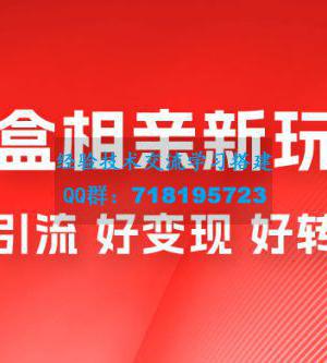 盲盒相亲新玩法：适合新手小白，一部手机可以做，轻松日入 500+