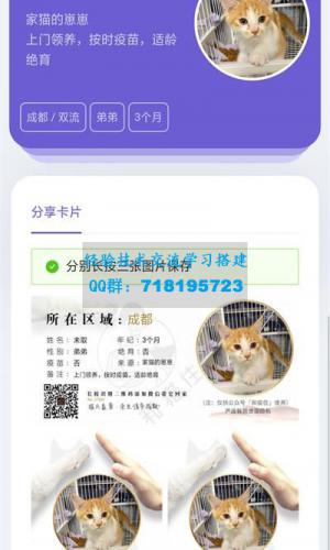 流浪猫流浪狗宠物领养平台H5源码 Thinkphp5内核