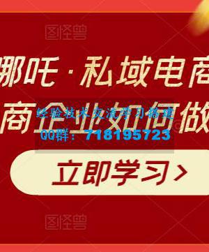 大圣电商哪吒・私域电商流量密码课，教电商企业如何做私域运营