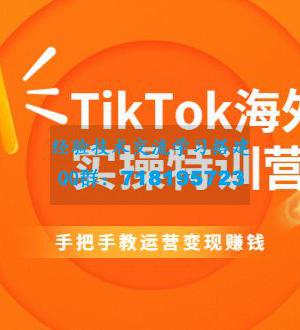 TikTok海外掘金实操特训营：手把手教运营变现赚钱