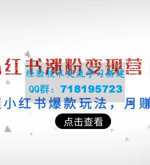 21天小红书涨粉变现营（第3期）：带你掌握小红书爆款玩法，月赚10W+秘密